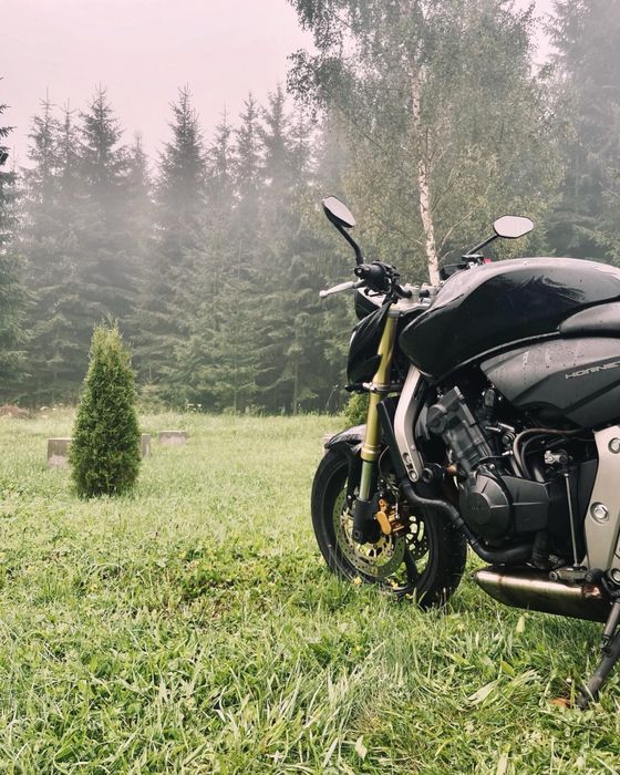 Honda Hornet 2007 PC41