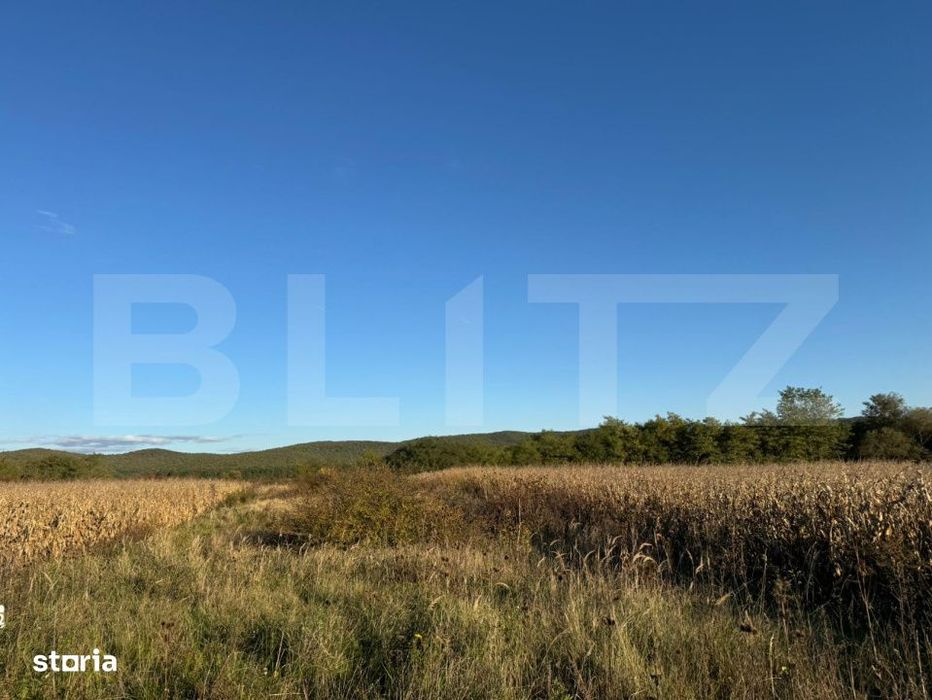 Teren extrvilan 1400mp in Branisca