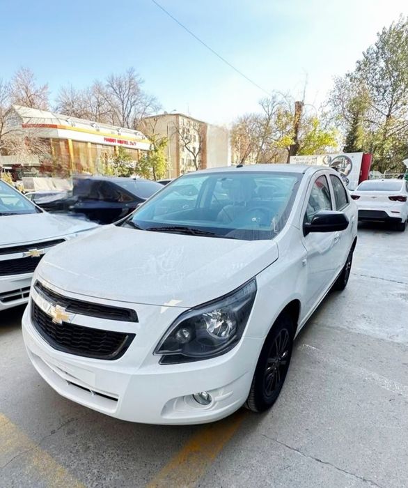 **‼️Cobalt MSM midnight 2026 koja salon