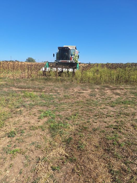 Combina Claas Mega 204