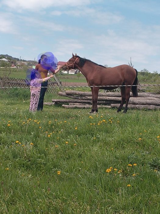 Manz frumos și foarte blând