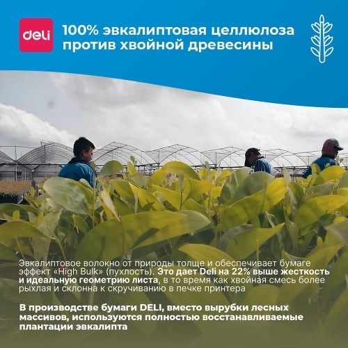 Бумага А4 для офиса