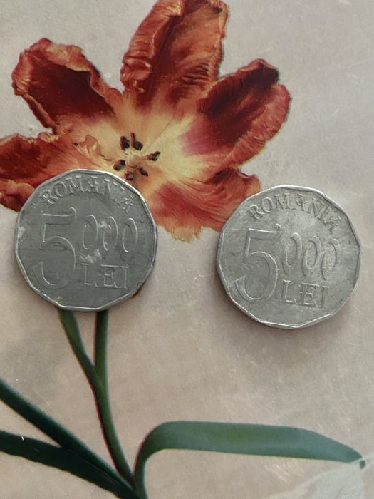 Monezi 5000 lei, an 2002; 2004