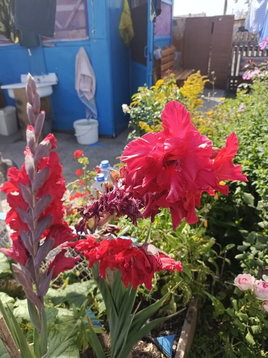 Продам срочно часть дома п.Шортанды