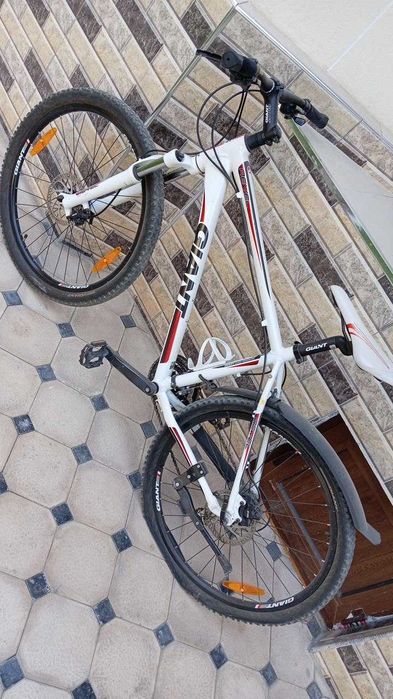 Velosiped Giant Revel 1