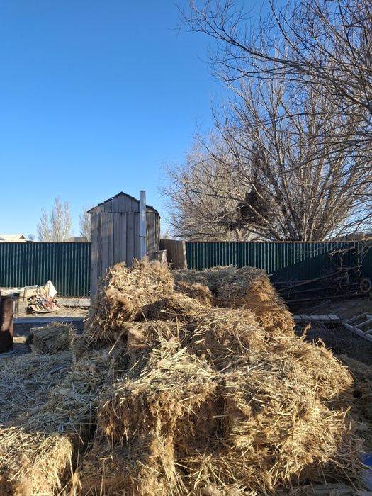 Камыс прес сатылады