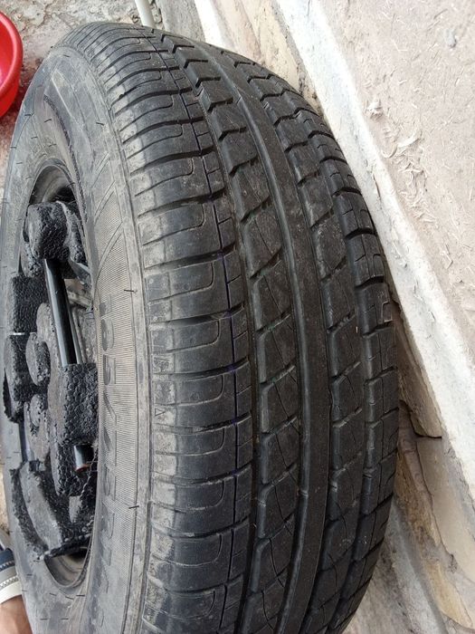 cobalt zapaskasi
