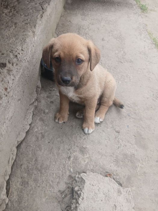 Малыш ждет свою семью!