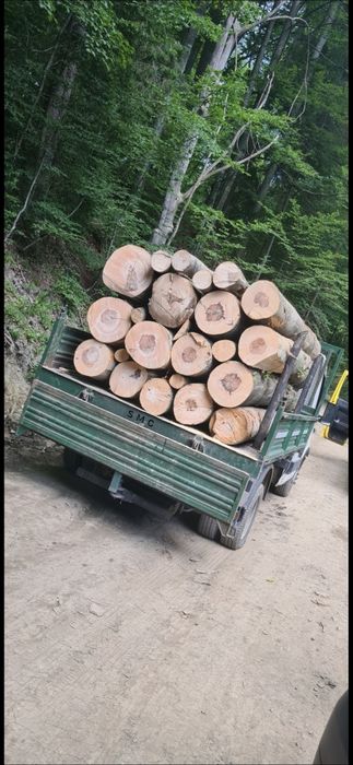 Avem lemn de foc crăpate și tăiate