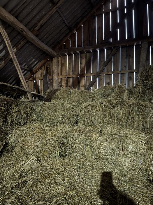 Vând baloți de fân.