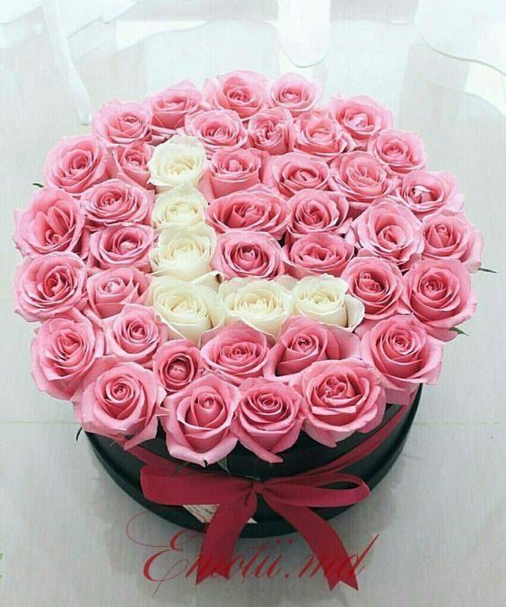 101роза 51роза розы в коробке
