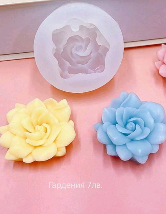 Нови модели молд