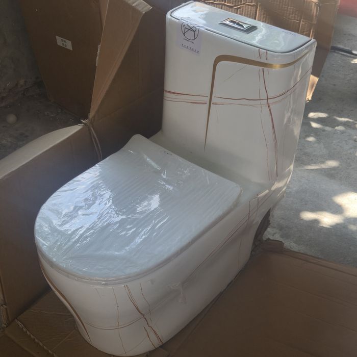 Vas wc ceramica dint- o bucata