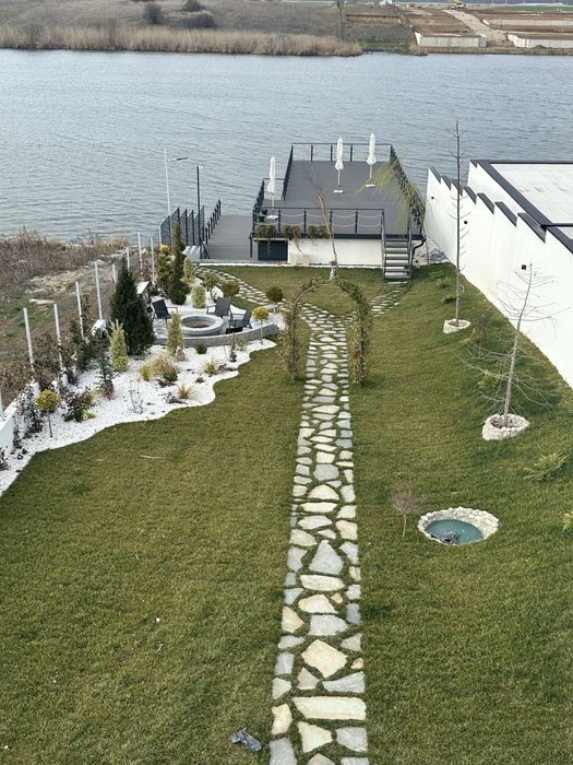 Leylandii chiparos / Tuia / plante de gradina