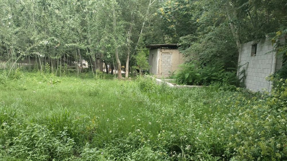 Hovli uy, Dacha/ Ховли үй, Дача