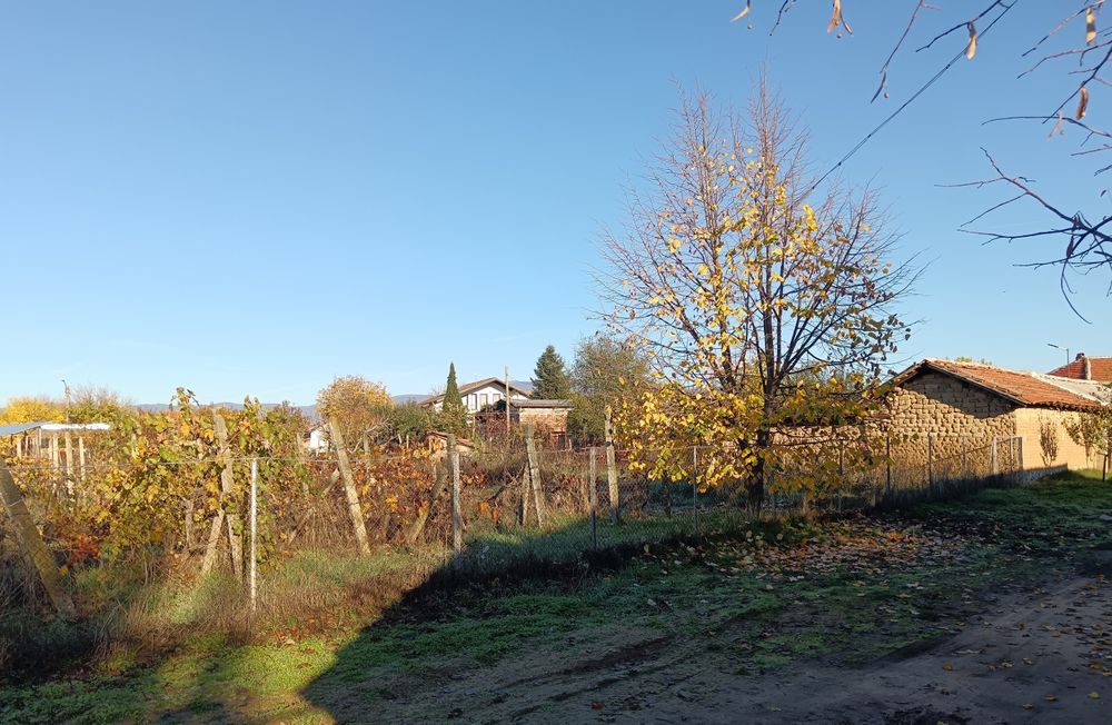 Продава се Парцел в с. Паничери, Област Пловдив - 900 кв.м за 6 €/кв.м - Снимка #5