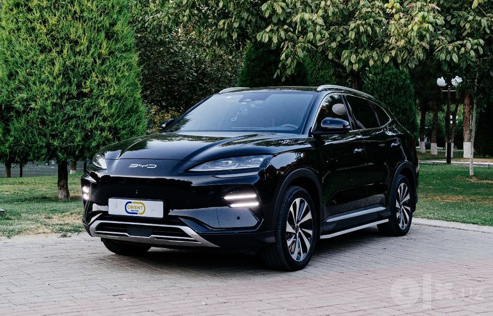 Byd Song plus Champion zapchast запчасти