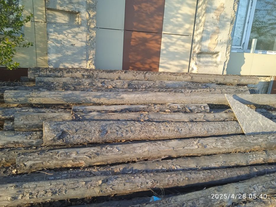 Продам бревна сухие