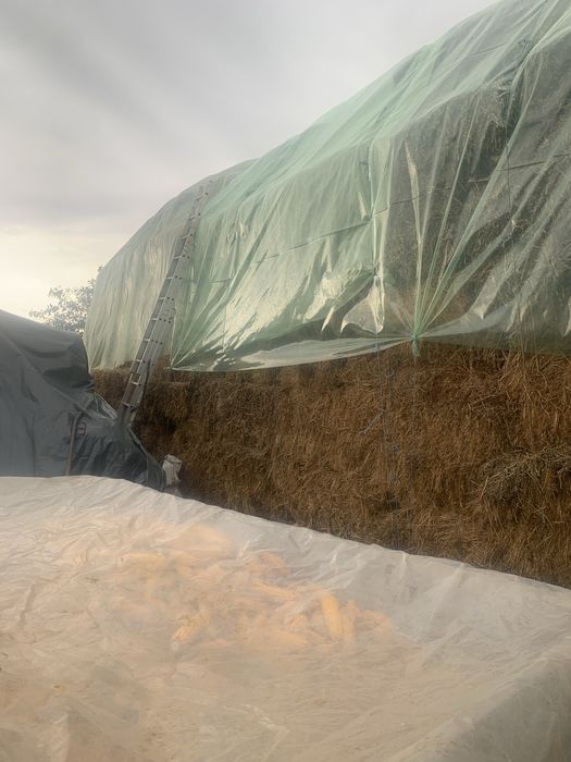 Trifoi cosa 1-2 si 3 .Baloti di vreji de mazare si baloti de fan