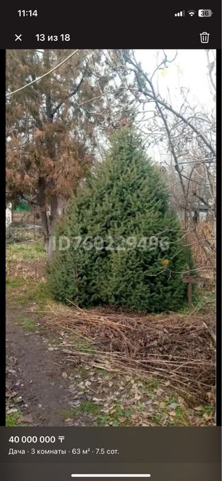 Продам дачу в Наурызбайском районе