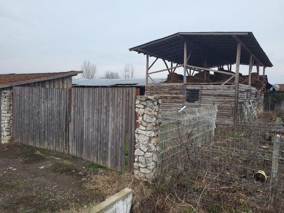 Vand ferma in Jud Arad