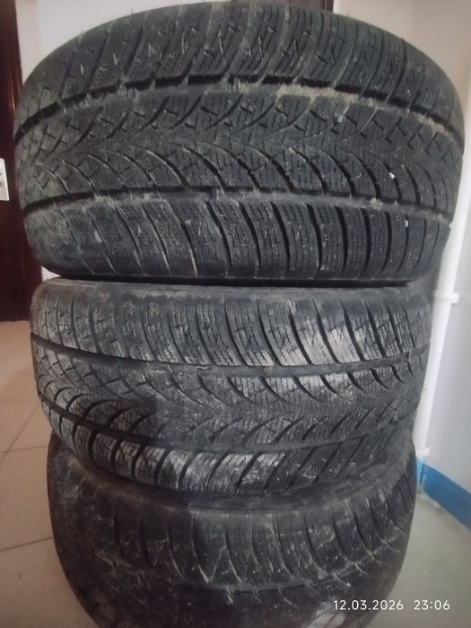 Зимние шины Triangle 225/55/R17