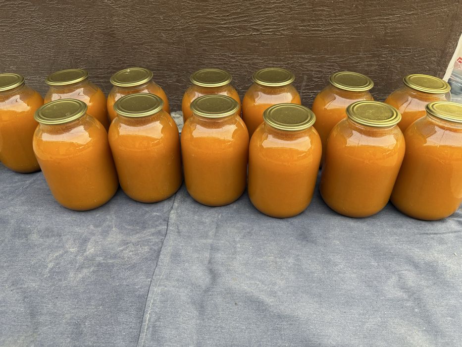 Натуральный сок”Өрік жемісі”