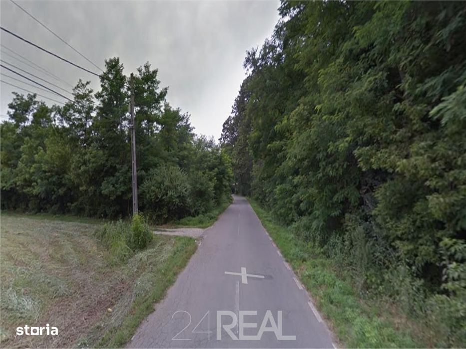 Teren de vanzare in Snagov - 981 mp