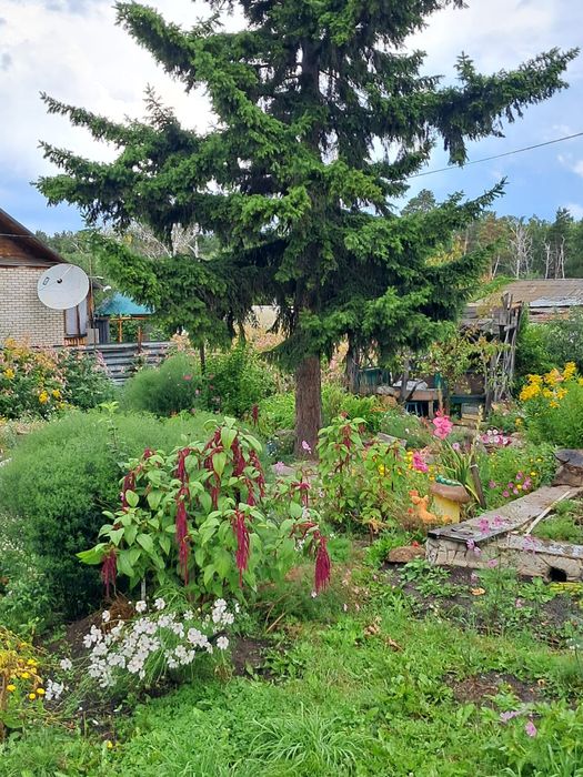 Продам уютный дом у леса ,