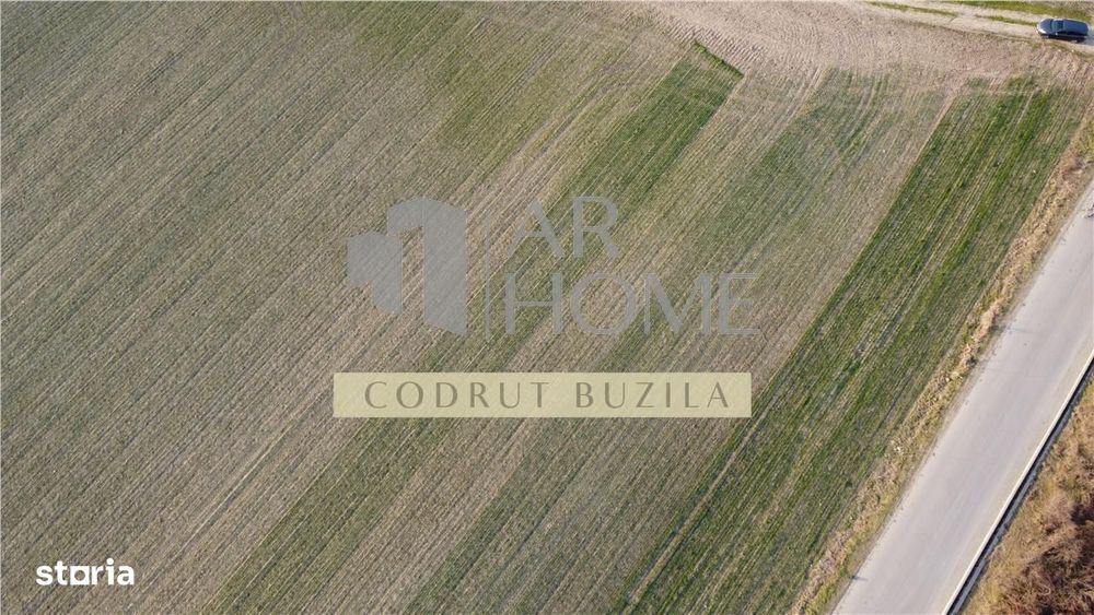 Teren intravilan 2500mp, Bucov