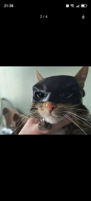 Маска Бэтмена для кота, 3D-печать