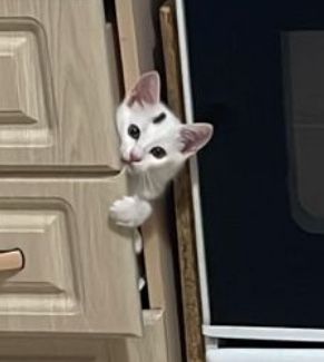 zhenisgul.duisaleva