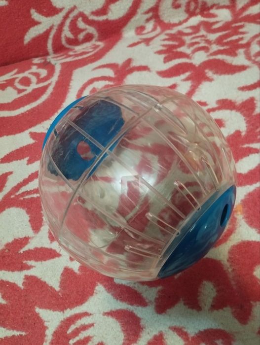 Шар беговой для хомячков