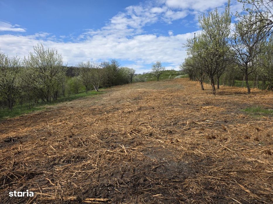 De vânzare teren intravilan – Bârsău, jud. Hunedoara