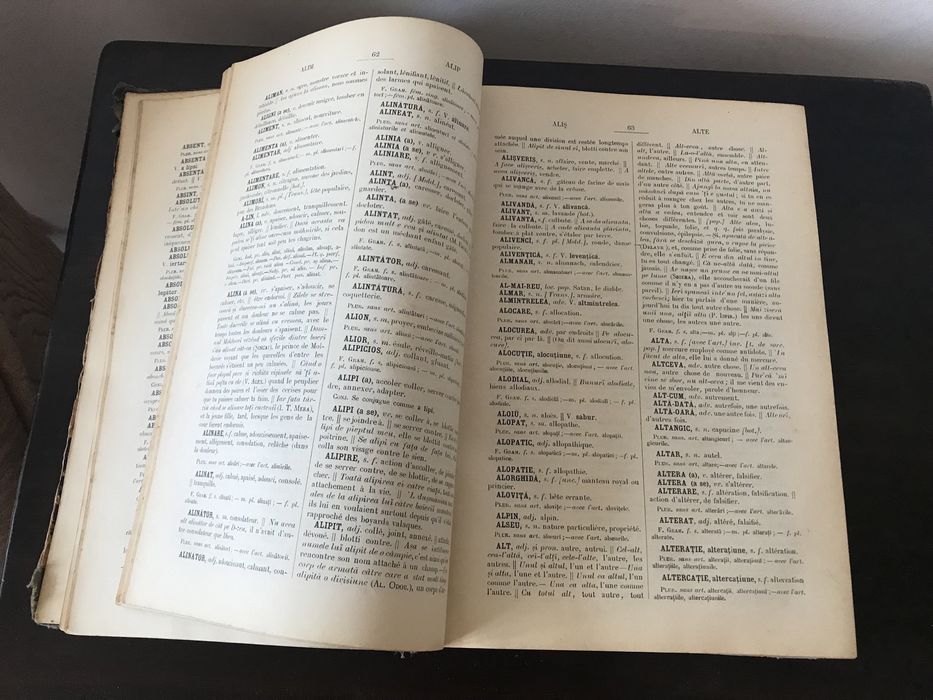 Frederic Dame, Nouveau Dictionnaire Roumain-Francais