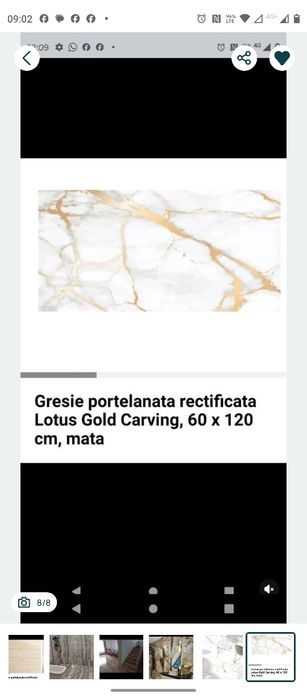 Oferta Gresie design Panda White și alte 17 modele Timișoara, Arad, Deva, Caransebeș, Turnu Severin  Resita, Sibiu, Oradea, Satu Mare