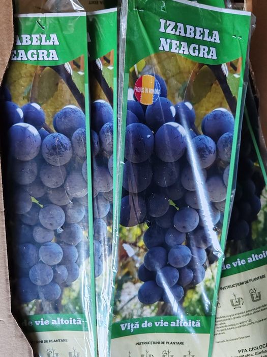 Vita de vie ambalata