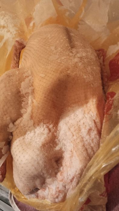 Продается домашние гуси