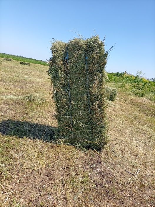 Vând baloți prima coasă amestec cu iarbă și lucernă simpla