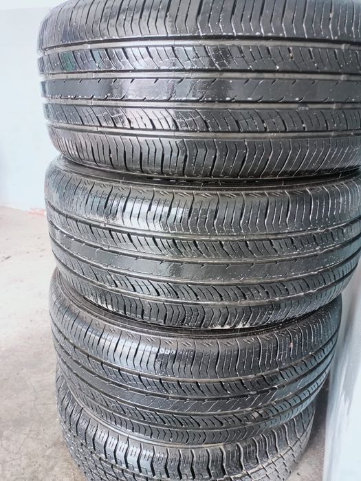 Продам ризину лето 3 болона