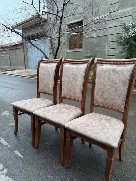 Prakat stol stul 24/7 chinni zontik naves Аренда пракат prokat samavar