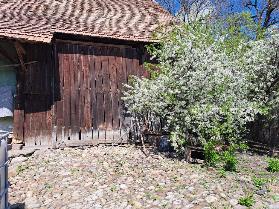 Casa saseasca de vanzare Fiser, Brasov/ schimb cu apart in Bv