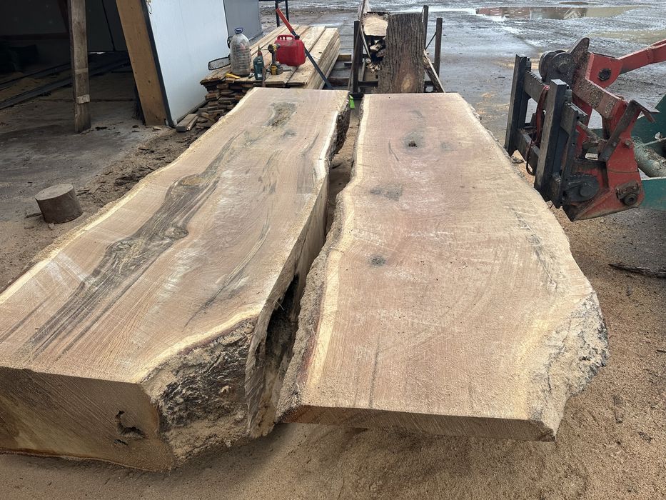 Blaturi stejar / fag dintr-o singura bucata