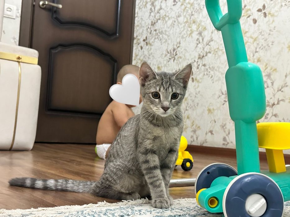 Девочка подросток ищет любящую семью!