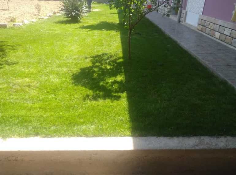 Рулонный Газон! Полив! Посев Газона! Ландшафтный Дизайн!