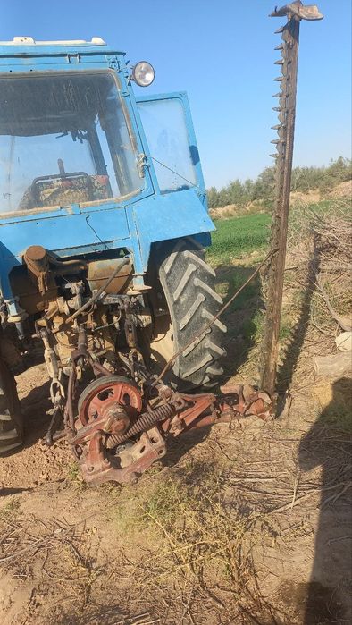 Каселка сигментная