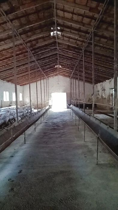 Очень срочно продается готовая ферма 1,27 Га Маданият