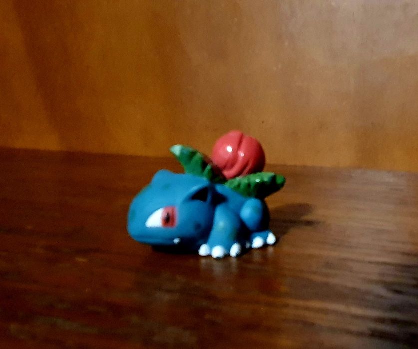Pokemon Ivysaut & Mega Venusaur