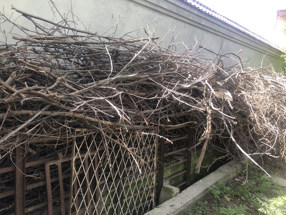 O’tin sotamiz holati yaxshi