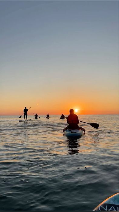 Аренда, прокат Сап борда, сап доски